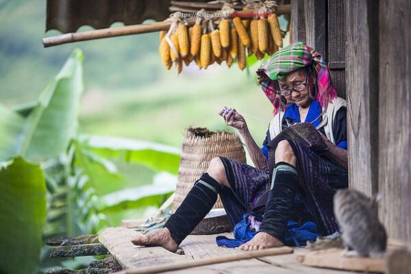 rượu ngô men lá truyền thống