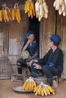 rượu ngô men lá truyền thống