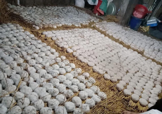 rượu ngô men lá