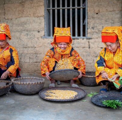 giá rượu ngô hà giang men lá Việt Bắc Fresh Food